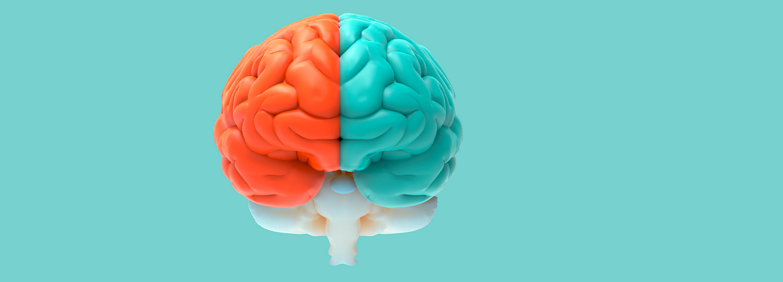 como funciona tu cerebro